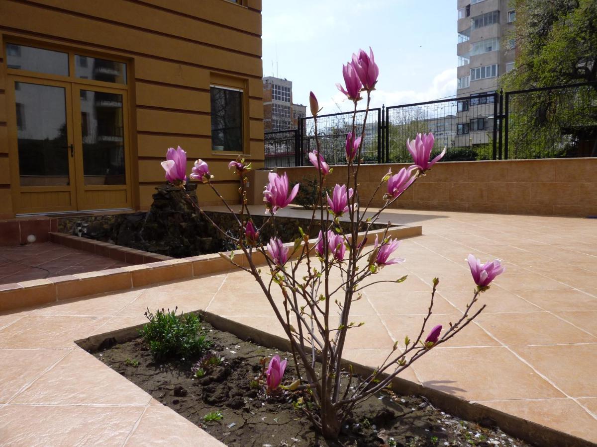 Casa Edwin Bed & Breakfast Constanta Exterior photo