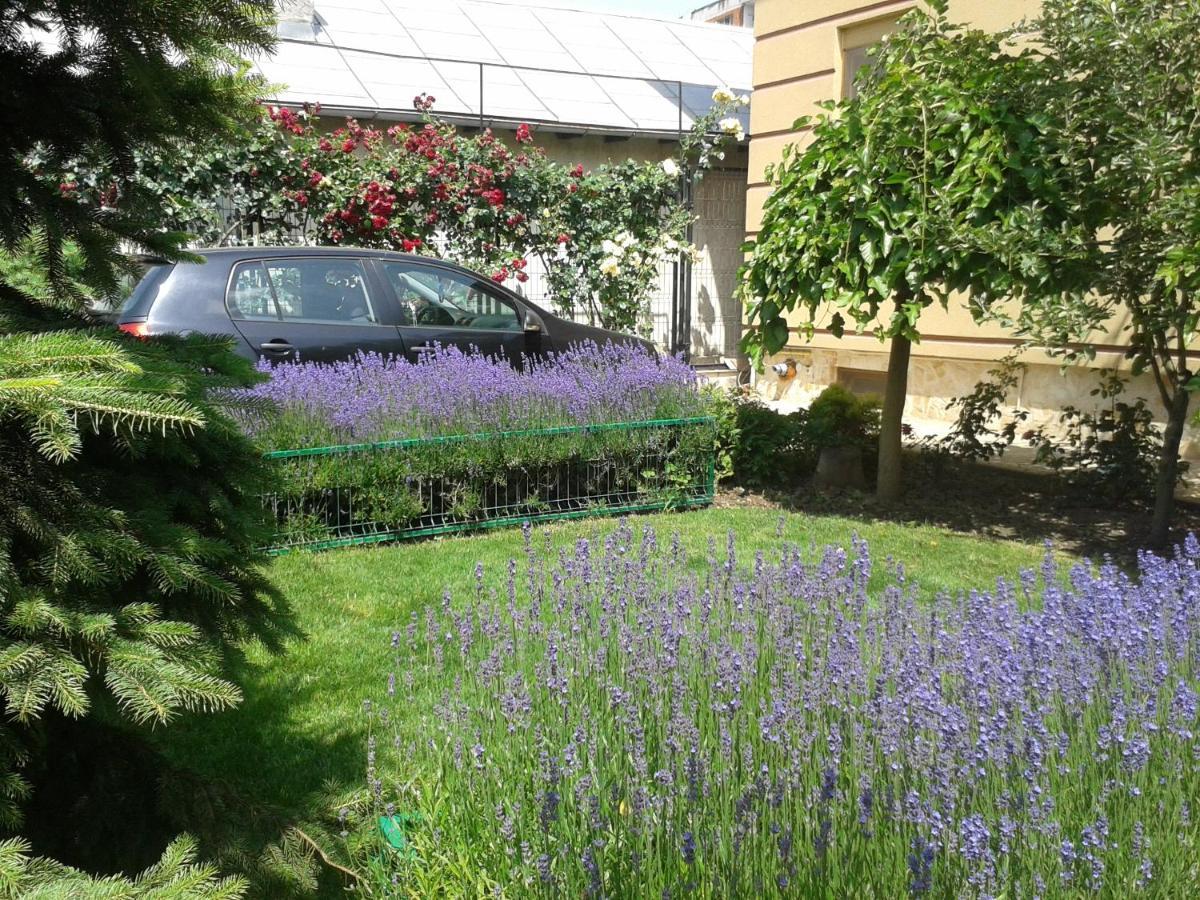 Casa Edwin Bed & Breakfast Constanta Exterior photo